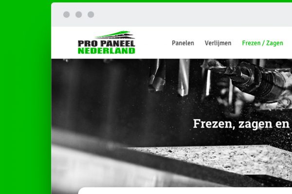 pro paneel website